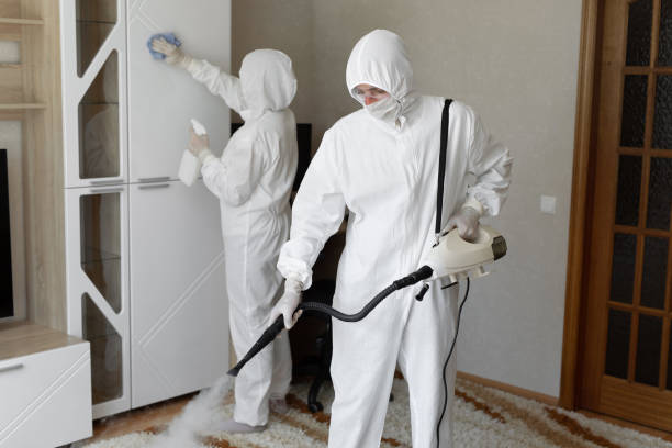 Best Mold Testing  in Ravenna, MI
