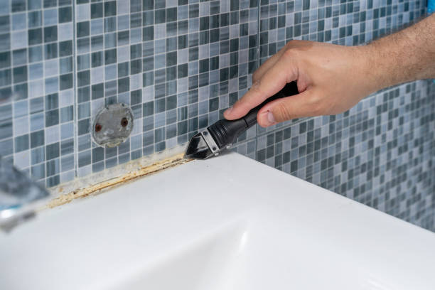 Best Mold Removal Company Near Me  in Ravenna, MI